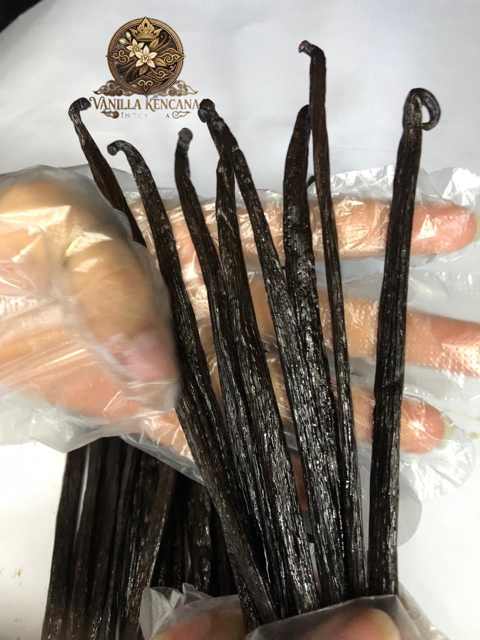                   Premium Vanilla Planifolia Beans